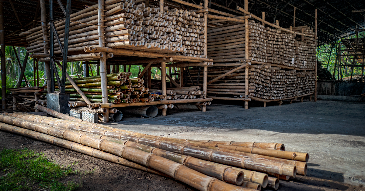 Collection of Bamboo