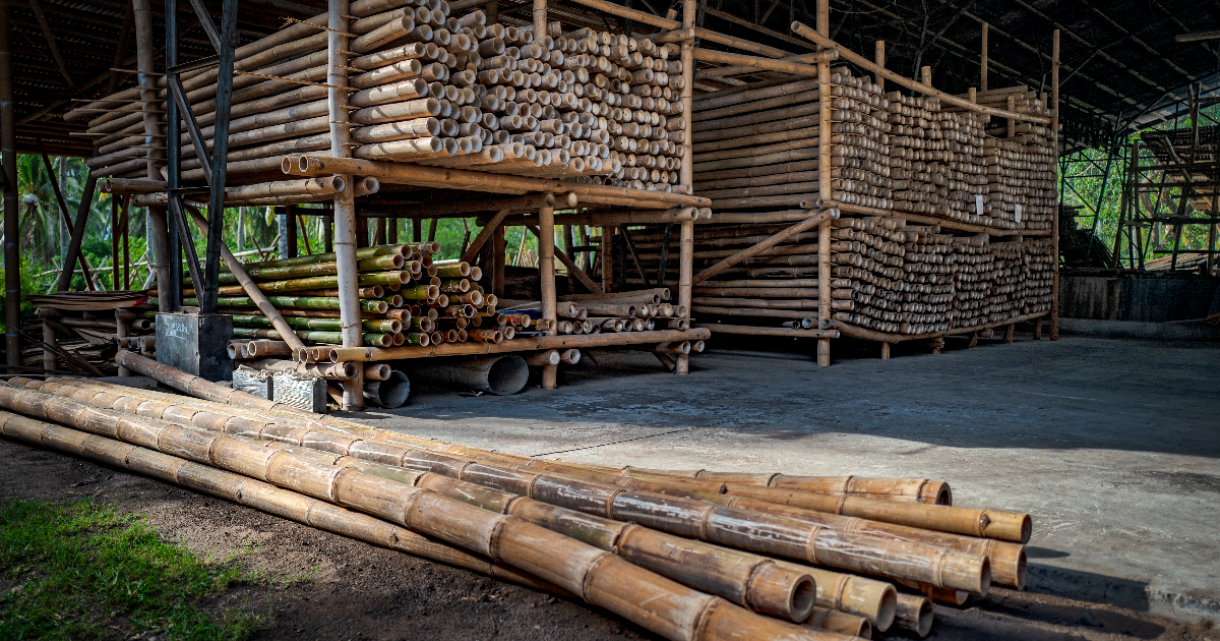 Collection of Bamboo